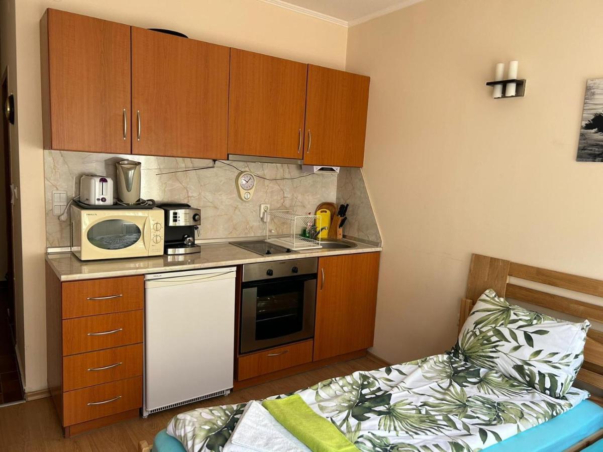 Studio In Cedar Lodge 3 Μπάνσκο Εξωτερικό φωτογραφία
